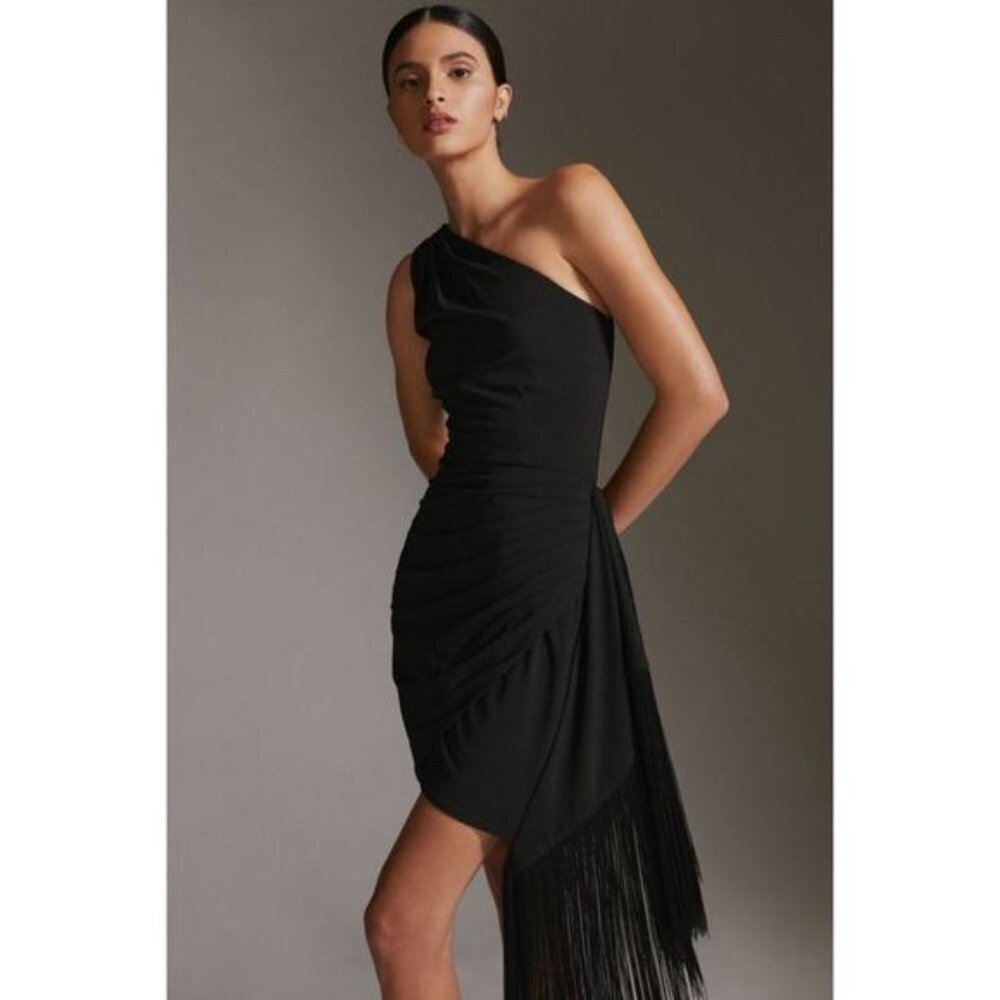 NWOT Anthropologie - Hutch Ruched Fringe Mini Dress